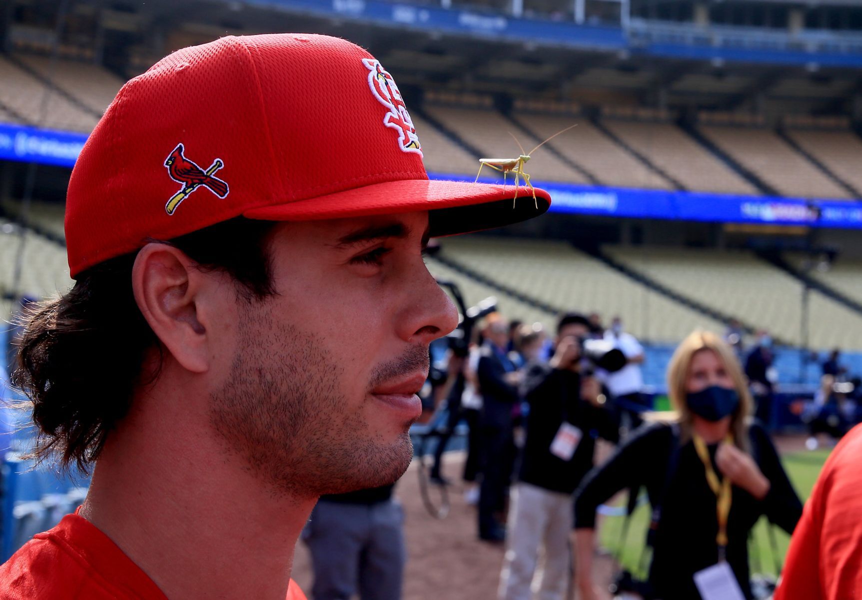 St. Louis Cardinals vs Los Angeles Dodgers National League wild-card game